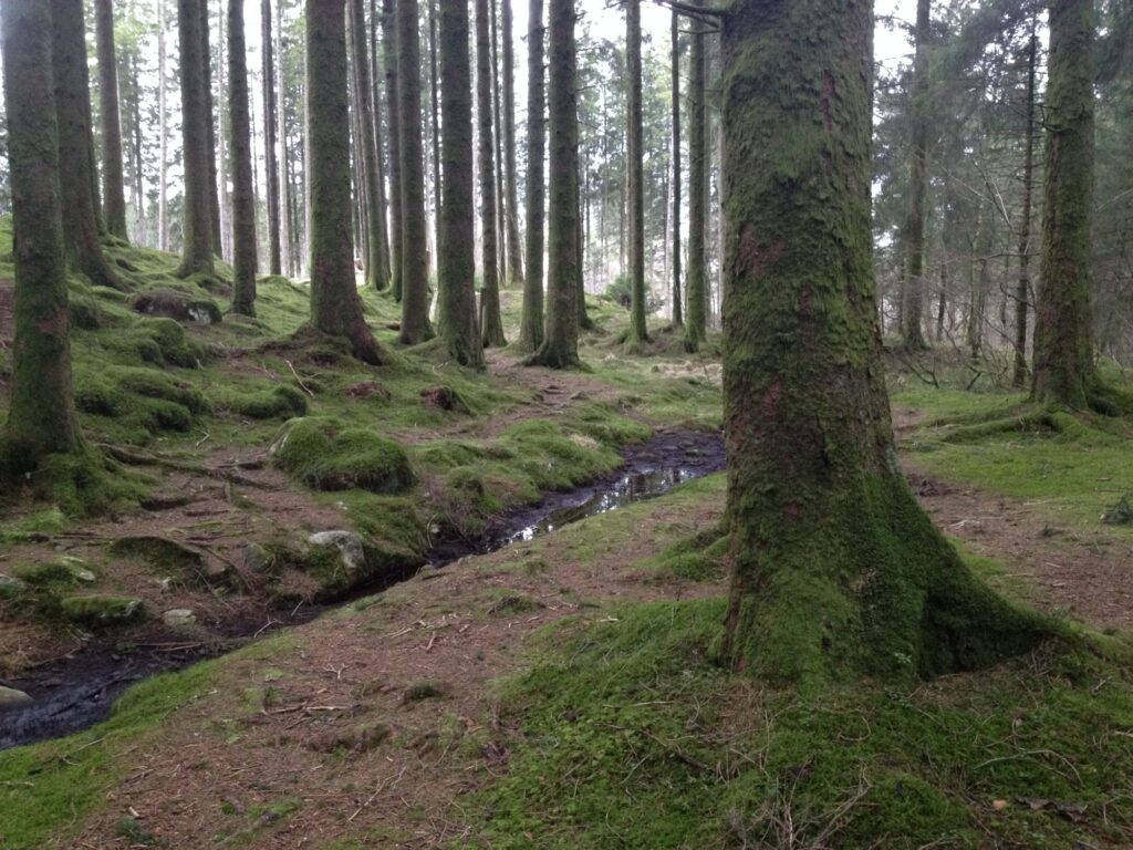 Sitka