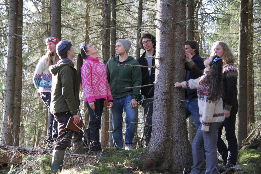 En gruppe studenter ser på skog