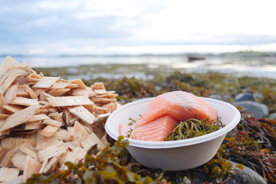Laksefillet i papptallerken, kutterspon, som liggger i tang ved havet.