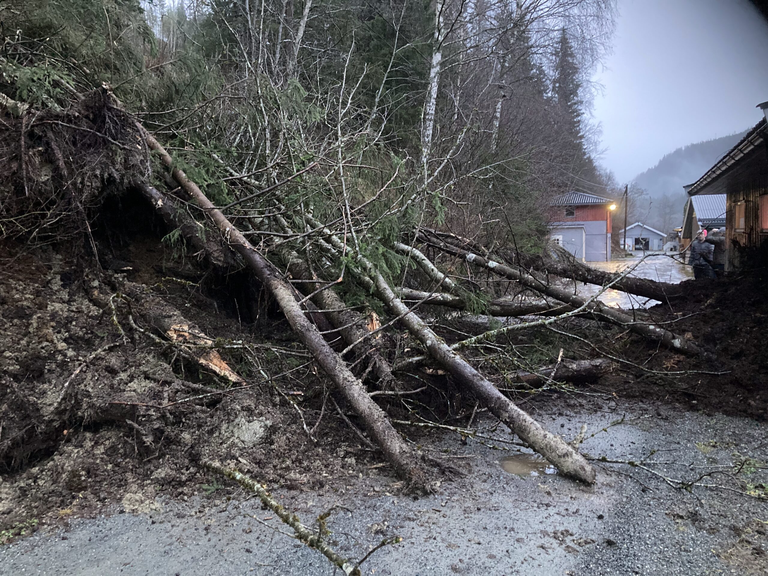 Jord og trær har rast inn i bygning.