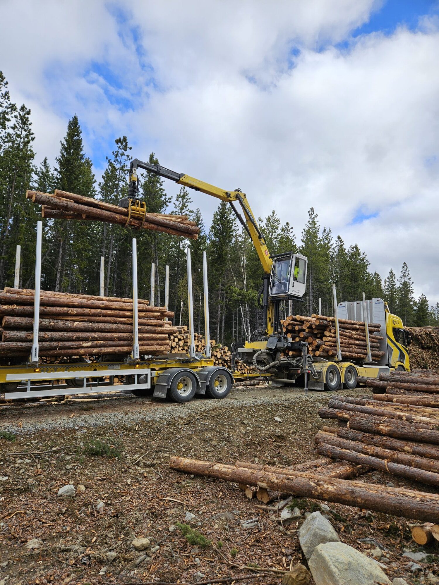 Tømmerbil laster tømmer.