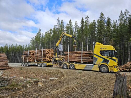 Elektrisk tømmerbil laster tømmer i skogen.