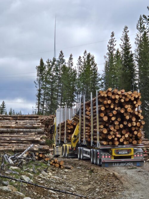 Elektrisk tømmerbil kjører ut av skogen.