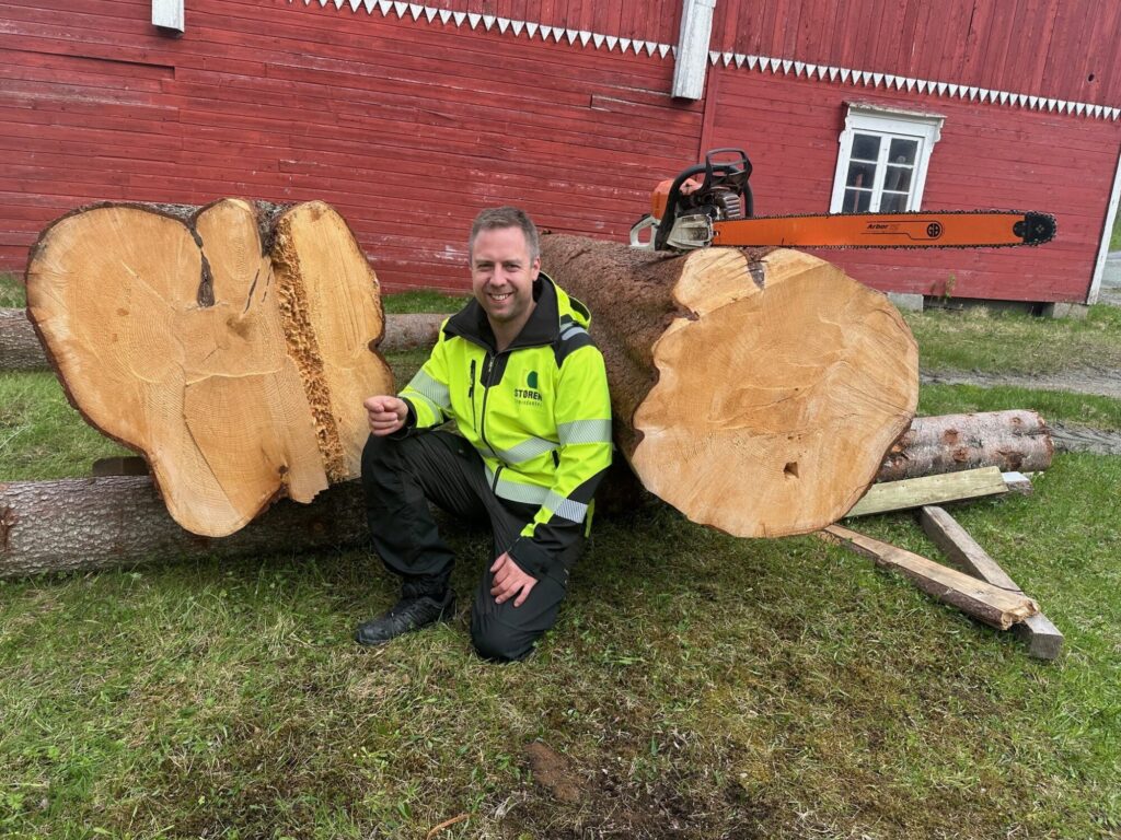 Mann ved to store tømmerstokker og en motorsag med langt sverd.