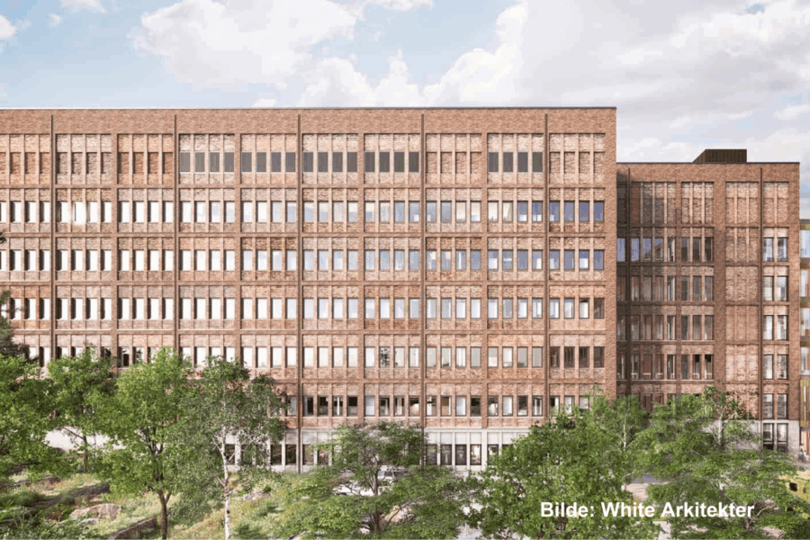 Stort sjukehus bygget i tre.