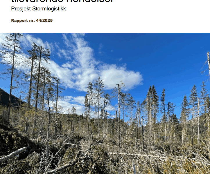 Forside av rapport om opprydding etter store stormhendelser i skog.