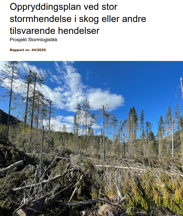 Forside av rapport om opprydding etter store stormhendelser i skog.