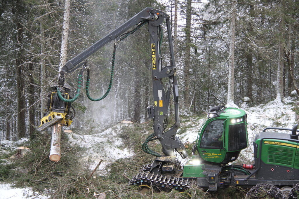 Hogstmaskin feller et grantre på vinterstid.
