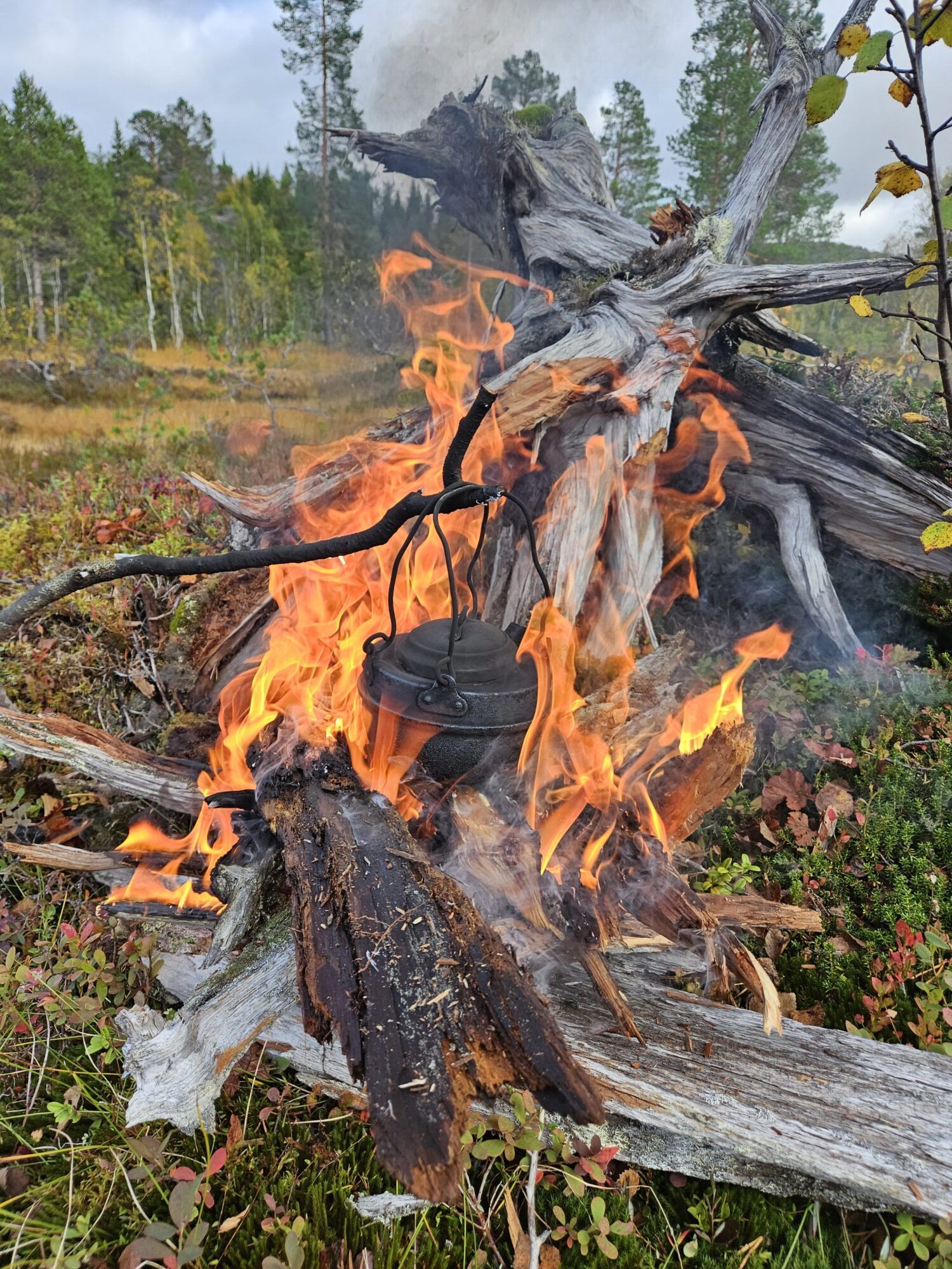 Bål med kaffekjel.