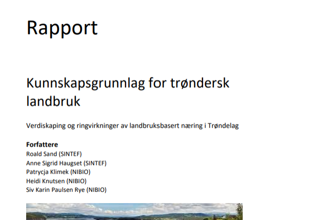 Forsida av rapporten