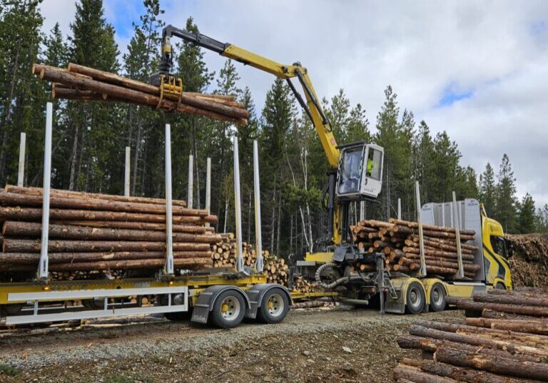 Tømmerbil laster tømmer.