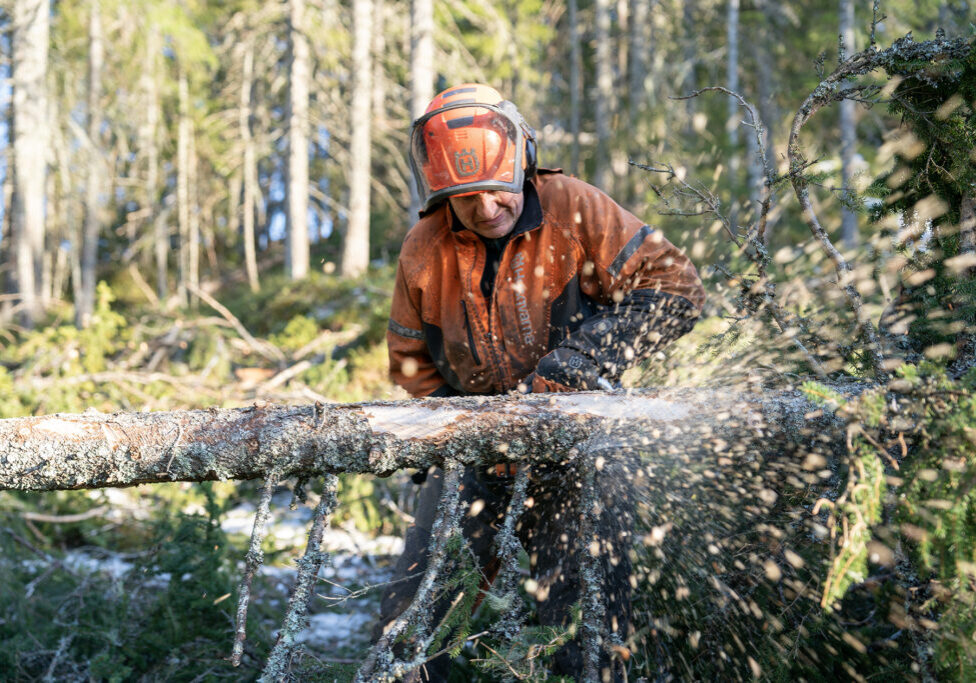 Foto: Christer Rognerud/ WoodWorks! Cluster