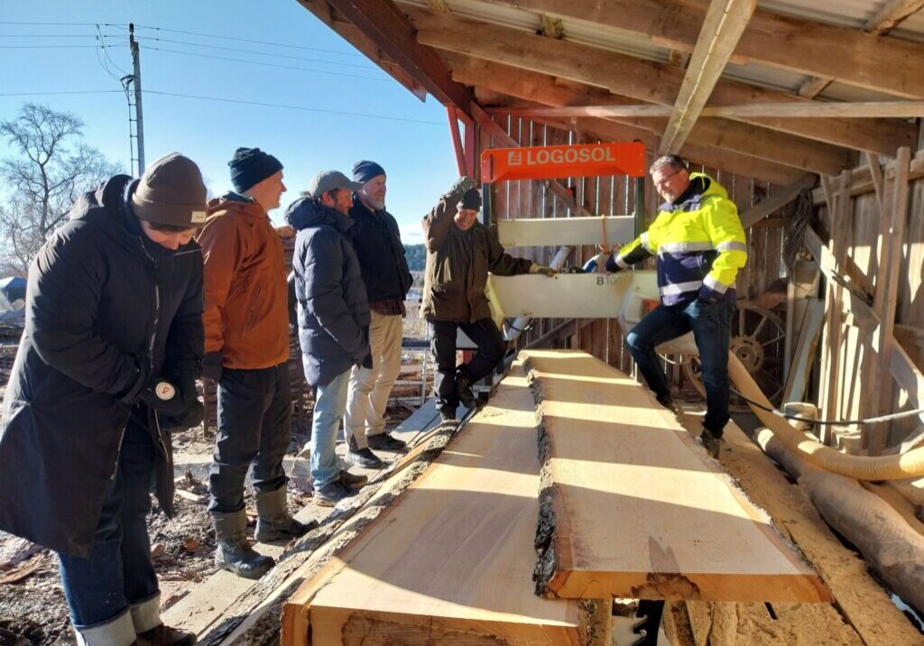 En gruppe mennesker samlet rundt en bjørkestokk det er saget en planke av.