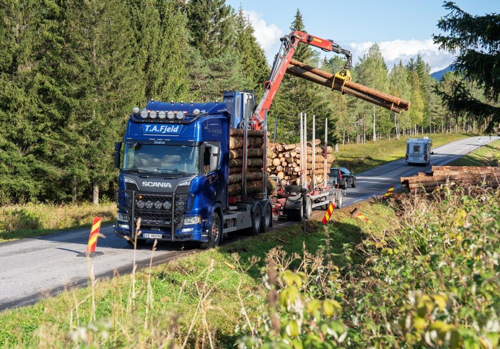 Tømmerbil laster tømmer langs offentlig vei