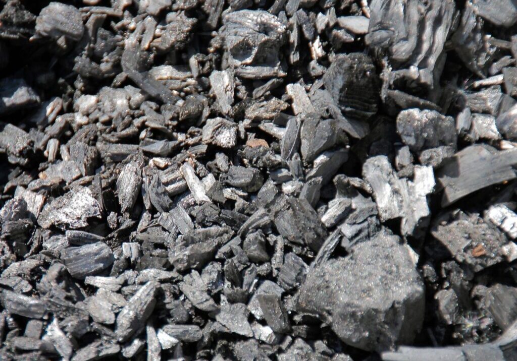 Biokull