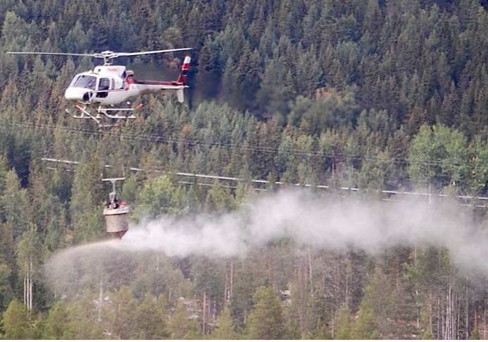 Foto: Atle Veddegjerde, Viken Skog