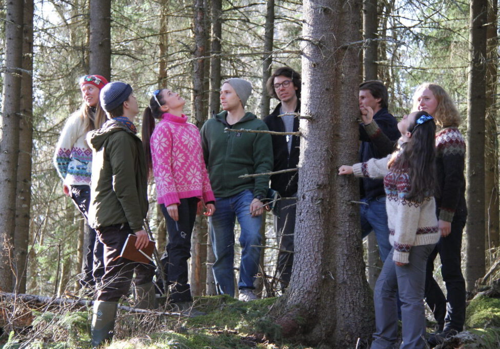 En gruppe studenter ser på skog