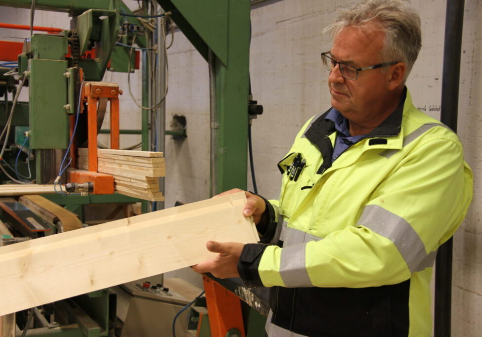 En man studerer en planke på et sagbruk.