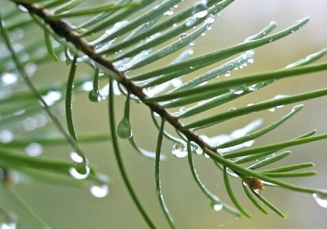 iStock_000012986914_Smal