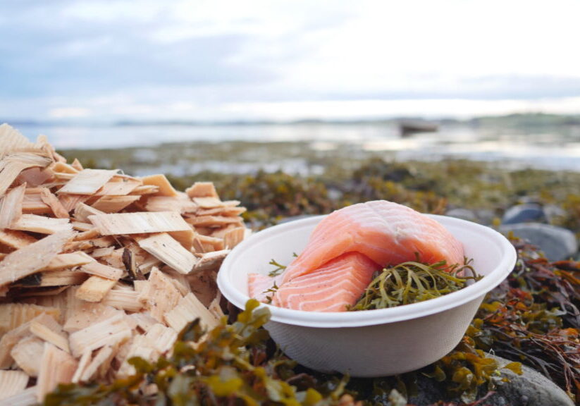 Laksefillet i papptallerken, kutterspon, som liggger i tang ved havet.