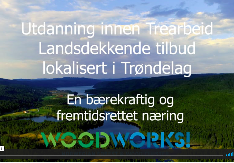 Se filmen om «Utdanning innen trearbeid».