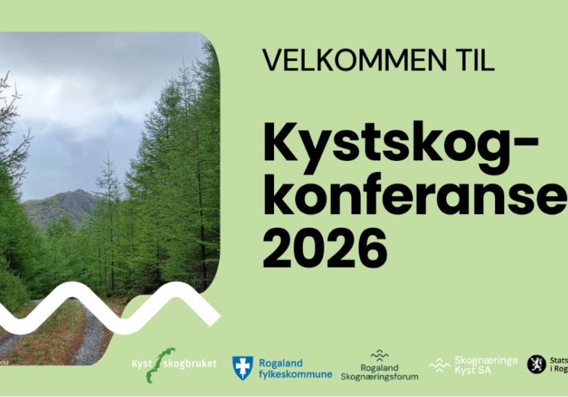 Skjermbilde 2026-03-25 122631