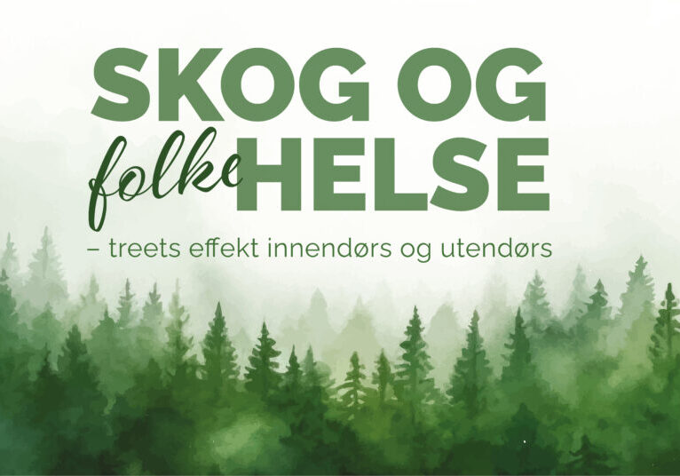 skog-og-helse-bannerbilde-1920x1005-px-v2-1-1024x536