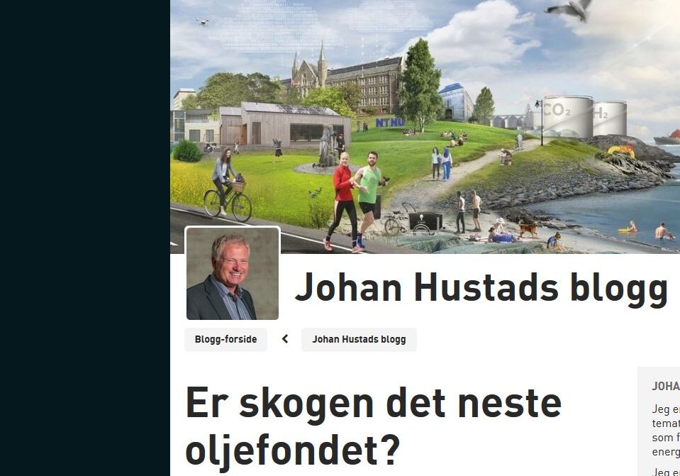 Skogen det neste oljefondet