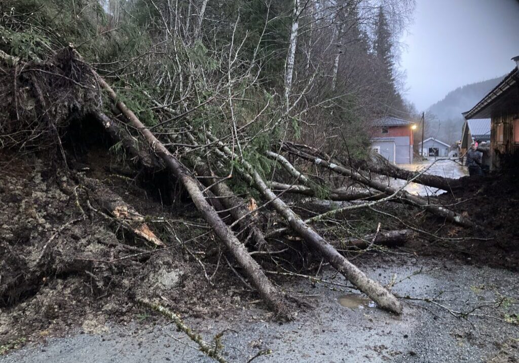 Jord og trær har rast inn i bygning.
