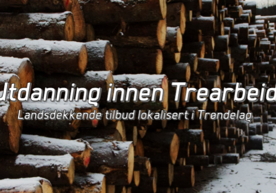 Utdanning innen trearbeid Utdanning innen trearbeid