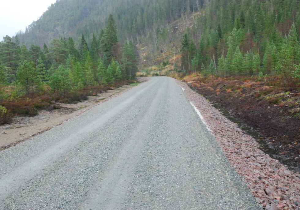 Infrastruktur, også til energianlegg, legger beslag på skogareal.